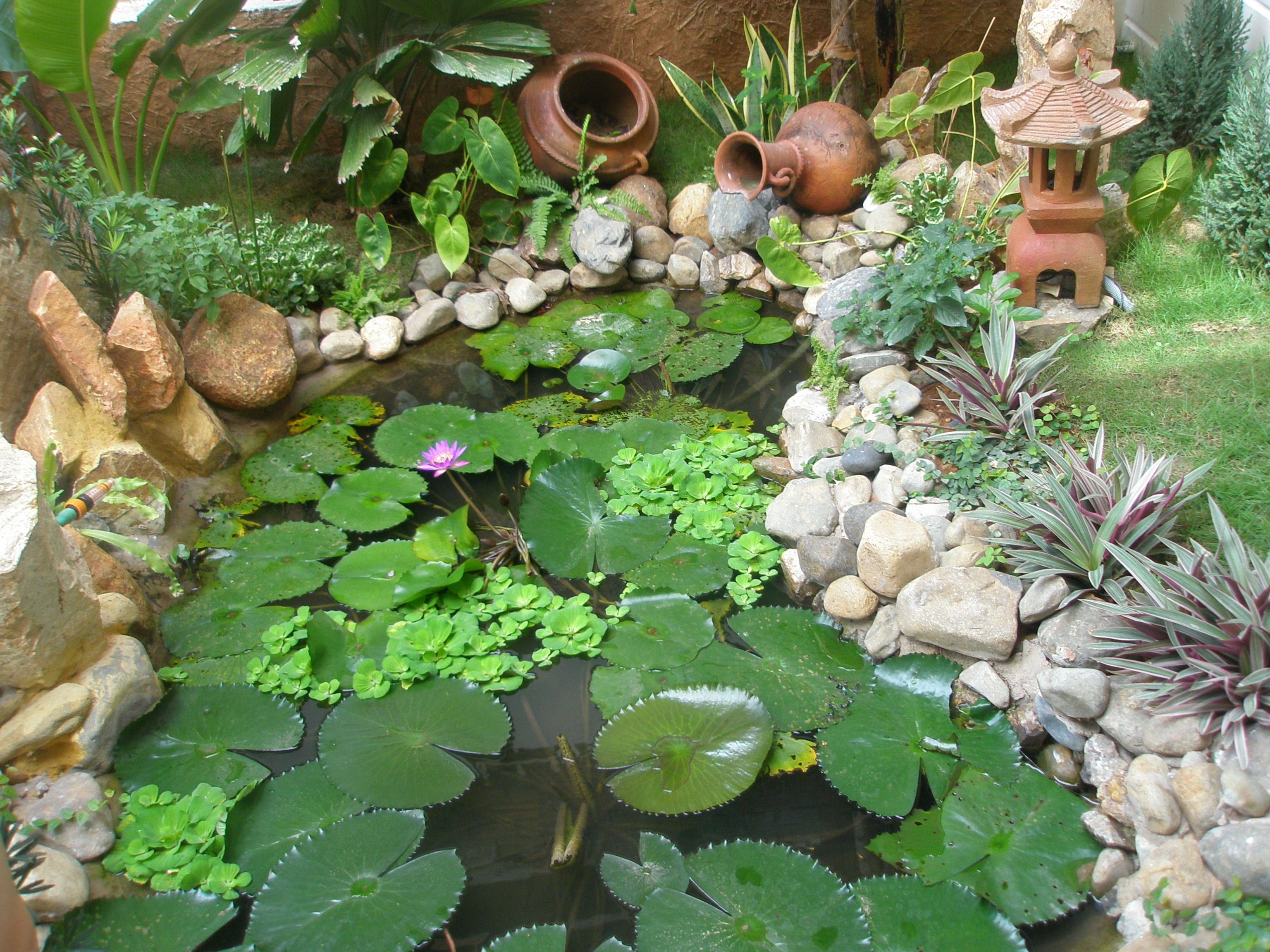 Cảnh quan - Green Hill Resort
